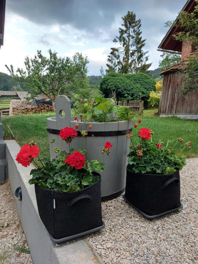 Pr' Sovarjo Zgornje Gorje Kültér fotó